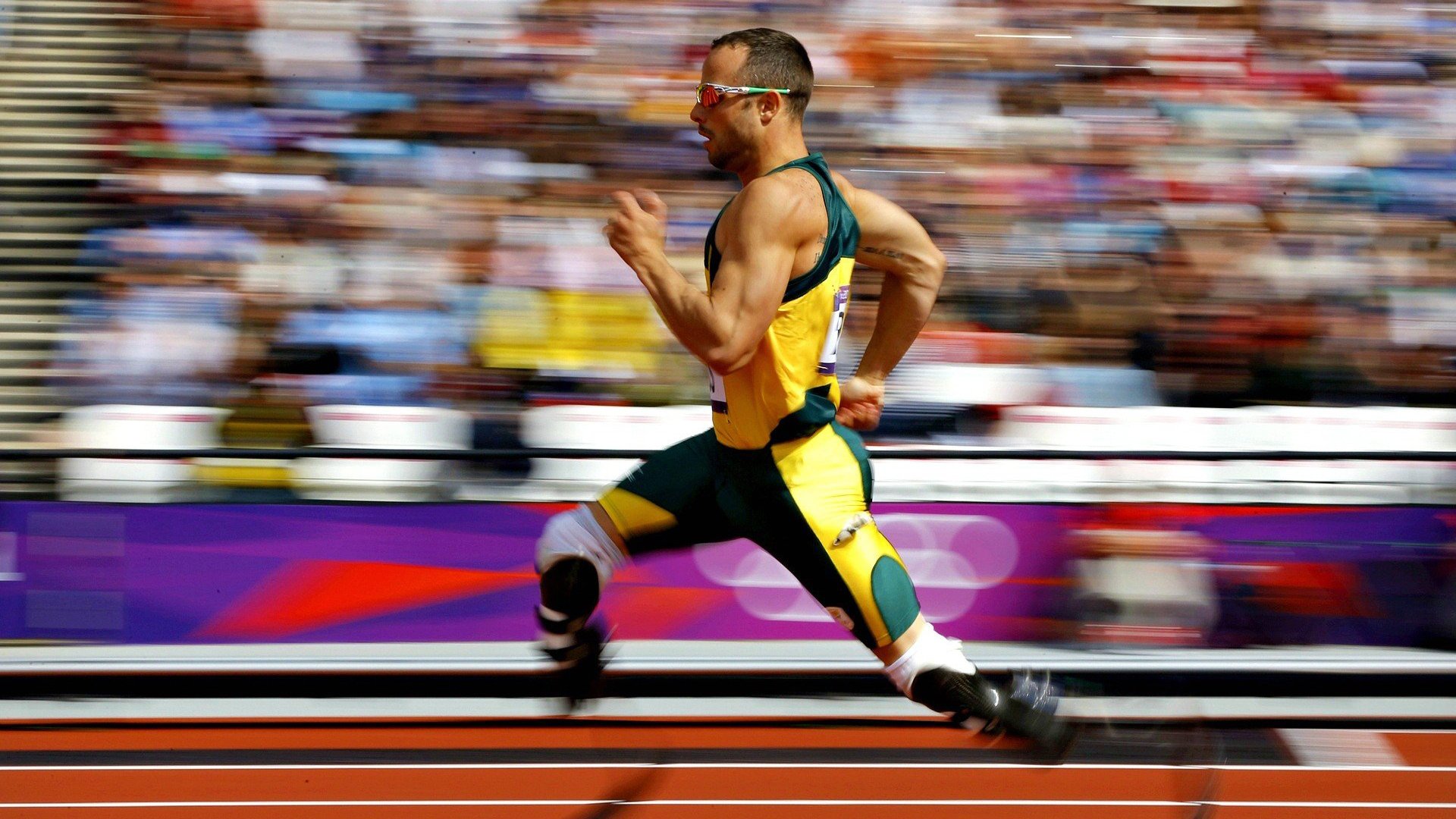 职业体育联盟治理结构国际比较分析，中国职业体育联盟